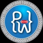 Professional Web Solution Logo